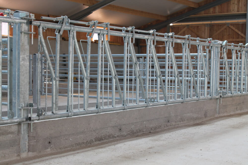 2ème âge : 4 mois à 14 mois